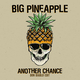 Скачать песню Big Pineapple - Another Chance (Don Diablo Extended Edit)