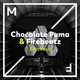 Скачать песню Chocolate Puma & Firebeatz - Blackout (Extended Mix)