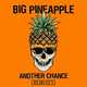 Скачать песню Big Pineapple - Another Chance (Don Diablo Chill Mix)