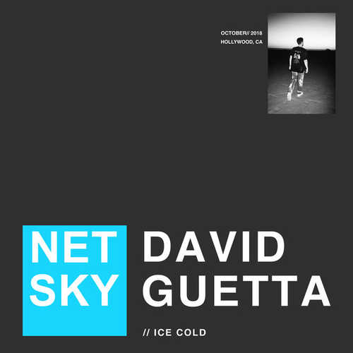Скачать песню Netsky - Ice Cold (feat. David Guetta)