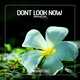 Скачать песню Dont Look Now - Ammunition (Fort Arkansas Remix)