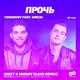 Скачать песню Ternovoy & Amchi - Прочь (Meet & Johnny Clash Remix)