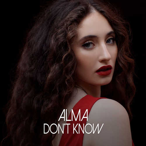 Скачать песню ALMA - Don't Know