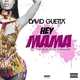 Скачать песню David Guetta Ft. Nicki Minaj & Afrojack - Hey Mama (Noizekid Bootleg)
